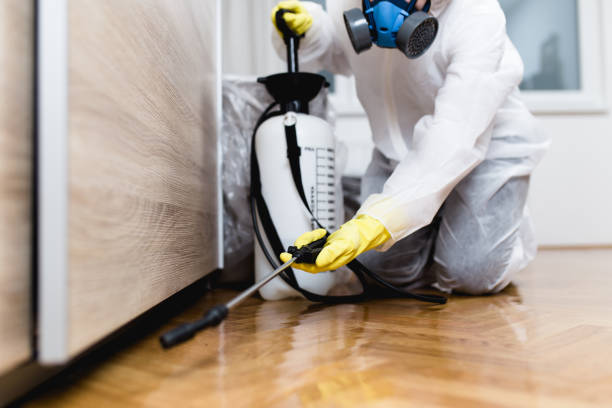 Best Pest Removal Services  in Kings Mountain, NC