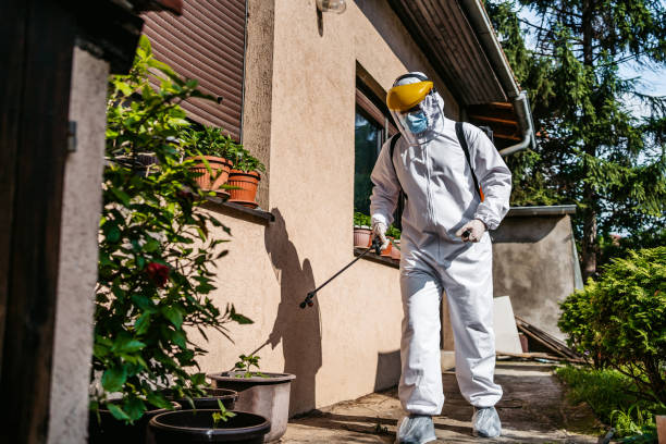 Trusted Kings Mountain, NC Pest Control Experts