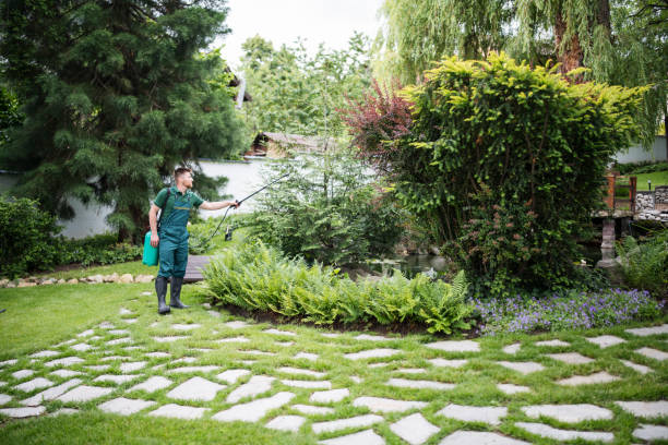 Best Wildlife Control Services  in Kings Mountain, NC