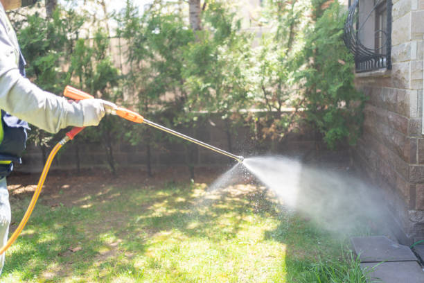 Best Best Pest Control Companies  in Kings Mountain, NC