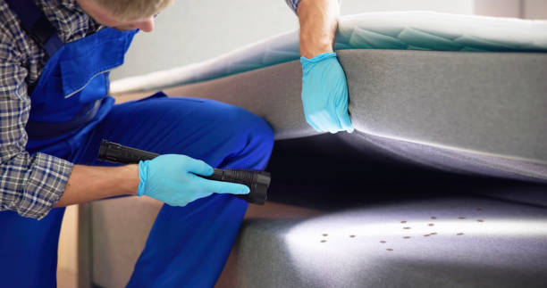 Best Local Pest Control Services  in Kings Mountain, NC