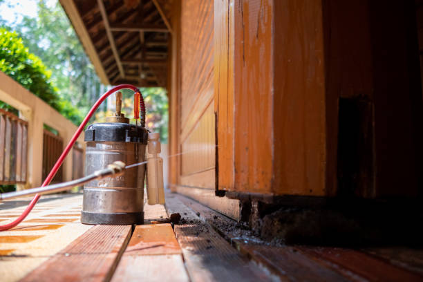 Best Termite Control Services  in Kings Mountain, NC
