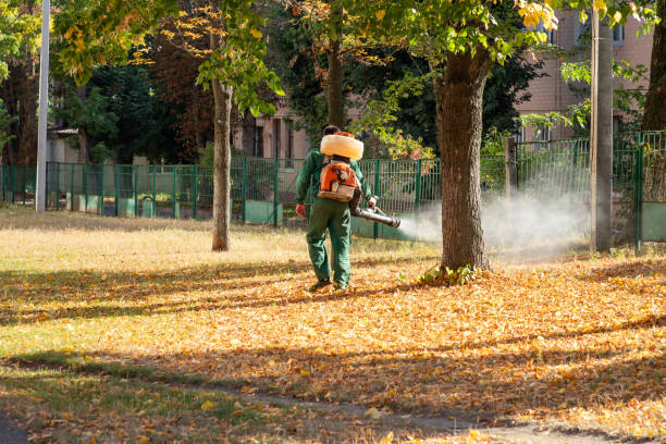 Best Wasp Removal Services  in Kings Mountain, NC