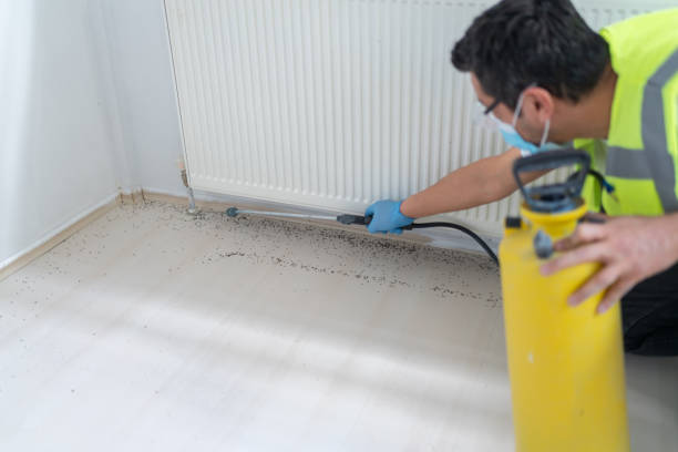 Best Pest Prevention Services  in Kings Mountain, NC