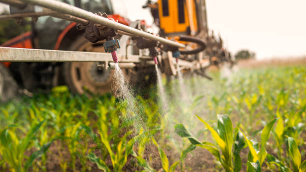 Best Mosquito Control Services  in Kings Mountain, NC