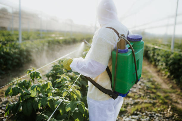 Best Best Pest Control Companies  in Kings Mountain, NC